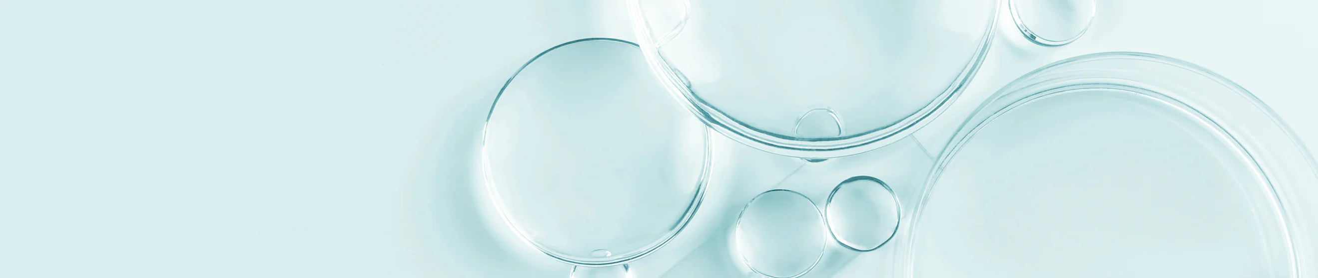 Pore Minimizing Skincare