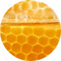 honey-ingredient